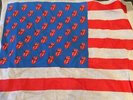 Rolling Stones Zip Code Desert Trip US Flag