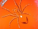 SPIDERS FROM MARS - Spiders From Mars - Vinyl (180 gram audiophile vinyl LP)
