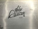 RARE 1977 SKY DANCER Alive ALL IN ONE RECORDS NR 8879 Nebraska Private Press