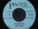 SAMMY TURNER: Lavender-blue / Wrapped Up In A Dream 45 (sl storage warp)