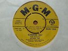 Jethro Toe - Sunshine Day 1968 UK 45 MGM PSYCH JETHRO TULL