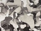 PAPACCHIOLI, Matteo/NASTIA/FELIPE VALENZUELA/DANI CASARANO/YATE/NSD - Zbirka