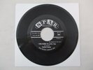 HERBERT HUNTER I WAS BORN TO LOVE YOU ORIGINAL 45 RARE NORTHERN SOUL Spar 9009