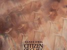 Agnes Obel - Citizen Of Glass (NEW 12
