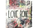 MOTHER LOVE BONE-ON EARTH AS IT IS (LTD.EDT.VINYL BOX SET)-VINYL LP3 UNIVER NEU