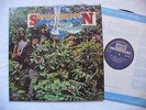 SAVOY BROWN 