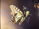 TOBIN, Amon - ISAM - Vinyl (gatefold 2xLP + MP3 download code)