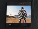 Pink Floyd, Delicate Sound of Thunder
