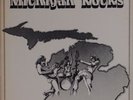 MICHIGAN ROCKS: Psych Garage Punk Comp STOOGES, MC5, Seger VINYL LP Rare