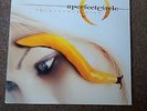 A Perfect Circle Thirteenth Step Doppel LP Vinyl Tool