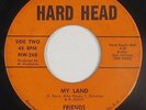 Garage Fuzz Psych 45 - Friends - My Land - Hard Head - mp3