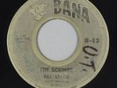 Rockabilly 45 - Bill Starr & Rhythm Jesters - The Schmoe - Bana - mp3 - obscure