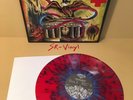 Pulling Teeth - Martyr Immortal vinyl lp integrity harms way blacklisted cursed