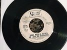 George Martin 45 UA Promo Ringo's Theme / And I Love Her Beatles