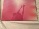Passion Pit– Gossamer 2×Vinyl Record,LP Sealed  Rare