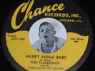 Doo Wop 45 THE FLAMINGOS Hurry Home Baby/ That's My Desire Chance Vinyl Repro