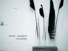 Poppy Ackroyd Feathers NEW OVP Denovali Vinyl LP & MP3