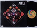FLAMING YOUTH Ark 2 UNI LP VG++ upk