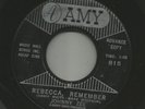 POPCORN TEEN - JOHNNY ZEE-- REBECCA REMEMBER  -HEAR -1961 AMY