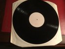 Druid Toward The Sun -test Very Rare White Label