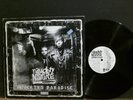 NAUGHTY BY NATURE  Poverty's Paradise    LP  Hip Hop     RARE