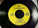 SCOT RICHARD CASE RARE 60s MICHIGAN GARAGE 45 A2 Chosen Few/Fugitives/SRC HEAR