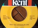 rockabilly 45 JESSE JAMES RED HOT ROCKIN BLUES b/w SOUTH'S GONNA RISE AGAIN hear