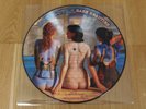 PINK FLOYD RARE BEAUTIES PICTURE DISC RARE NEAR MINT