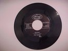 THE OTHERS - Revenge - fuzz GARAGE 45 - 1966