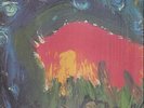 Meat Puppets Meat Puppets II NEAR MINT SST Records Vinyl LP