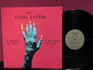 The Flesh Eaters - A Minute To Pray A Second To Die PUNK US 81 VINYL LP JRR-101