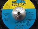 AD LIBS johnny my boy / just a down home 45 BLUE CAT – northern soul HEAR