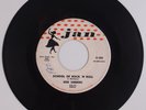 GENE SUMMERS: School of Rock 50s Texas Rockabilly JAN ORIG USA 45 Hear