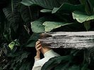 FROM INDIAN LAKES - EVERYTHING FEELS BETTER NOW (PNK) NEW VINYL