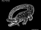Ride - Catfish & The Bottlemen (2016, Vinyl NEW) Explicit Version
