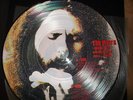 The Doors- Studio daze ( Picture disc)