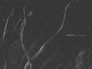 FVNERALS wounds LP NEW radare, bohren und der club of gore