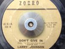 OBSCURE R&B/SOUL 45 Larry Johnson & Ideals Don't Give In Please Love Me (Zorro)