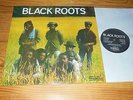 BLACK ROOTS - S/T SAME / BRISTOL-ARCHIVE-LP 2013 MINT-