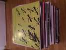ca. 250 Tech House Minimal Deep House Techno Tribal Vinyl 2001-2012