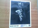 KATE BUSH - as BABOOSHKA   - 8