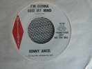 RARE TEEN 45 rpm KENNY ANCEL on PARLIAMENT lb TWELVE FEET HIGH Lee Hazelwood NM