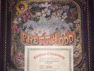 Panic At The Disco Pretty Odd (Rare Limited Vinyl Collector's Edition W/ Cert.)