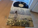 CATHERINE HOWE - What a Beautiful Place - ORIG UK 1971 LP Very rare