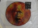 Drain S.T.H. : Horror Wrestling PICTURE DISC  VERY RARE  ONLY COPY ON eBAY