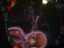 Signed/Autographed TOOL Lateralus 180 GRAM PICTURE DISC VINYL LP