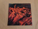 Catharsis - Passion LP Vinyl 1999 Scorched Earth Policy 08