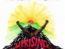 Bob Marley and The Wailers-Uprising  Vinyl / 12