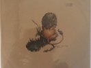 NM PEDRO THE LION WHOLE EP on TOOTH & NAIL RECORDS TNR 1086