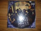 PRINCE & THE NEW POWER GENERATION Thunder Paisley park W0113TP - 1991 12